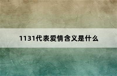 1131代表爱情含义是什么