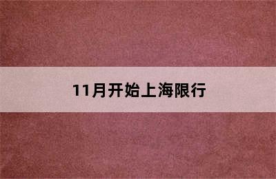 11月开始上海限行