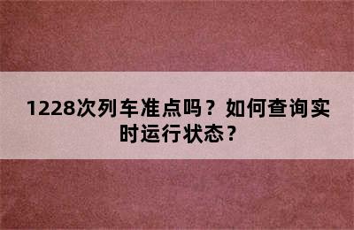 1228次列车准点吗？如何查询实时运行状态？