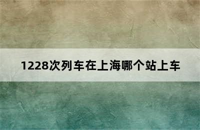 1228次列车在上海哪个站上车