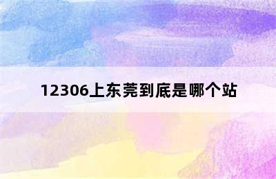 12306上东莞到底是哪个站