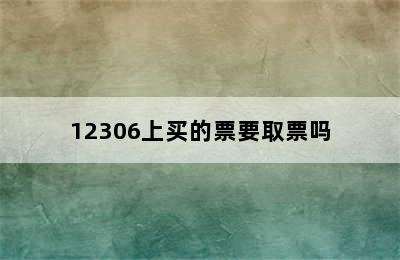 12306上买的票要取票吗