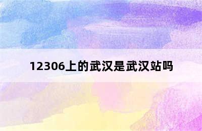 12306上的武汉是武汉站吗