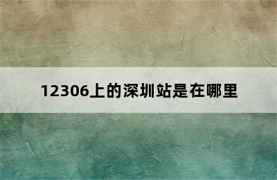 12306上的深圳站是在哪里