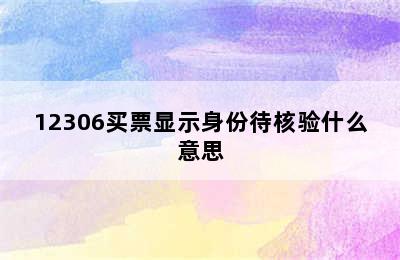 12306买票显示身份待核验什么意思