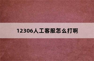 12306人工客服怎么打啊