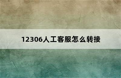 12306人工客服怎么转接