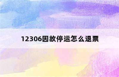 12306因故停运怎么退票