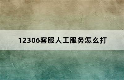 12306客服人工服务怎么打