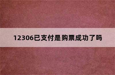 12306已支付是购票成功了吗