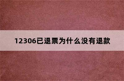 12306已退票为什么没有退款