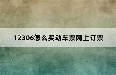 12306怎么买动车票网上订票