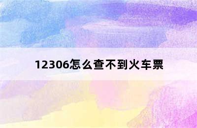 12306怎么查不到火车票