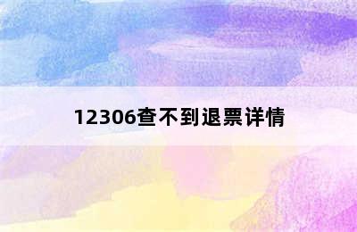 12306查不到退票详情