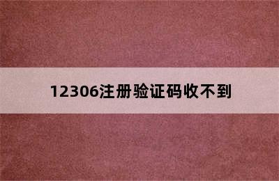 12306注册验证码收不到