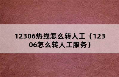 12306热线怎么转人工（12306怎么转人工服务）