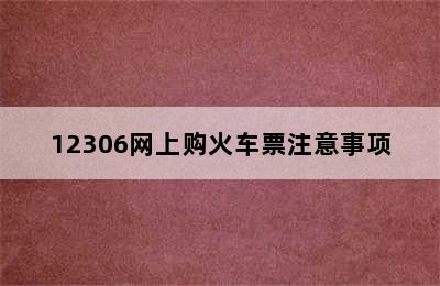 12306网上购火车票注意事项