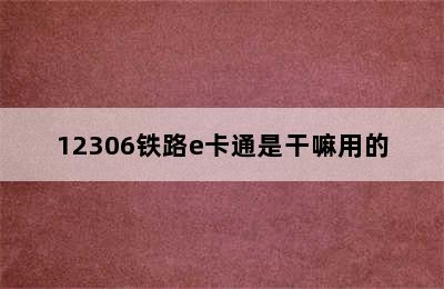 12306铁路e卡通是干嘛用的