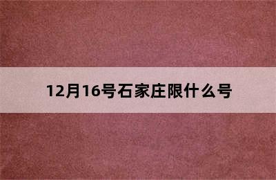 12月16号石家庄限什么号