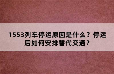 1553列车停运原因是什么？停运后如何安排替代交通？