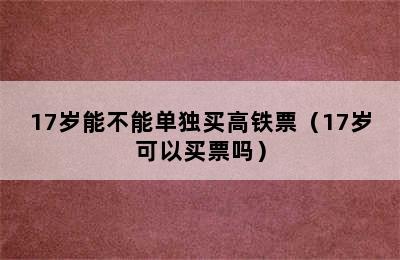 17岁能不能单独买高铁票（17岁可以买票吗）