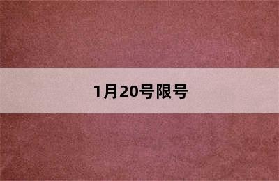 1月20号限号