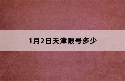 1月2日天津限号多少