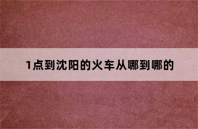 1点到沈阳的火车从哪到哪的