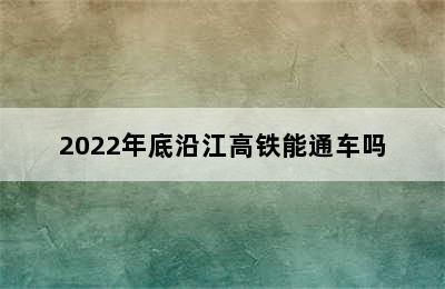 2022年底沿江高铁能通车吗