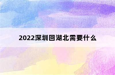 2022深圳回湖北需要什么