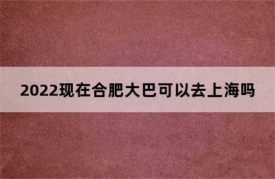 2022现在合肥大巴可以去上海吗