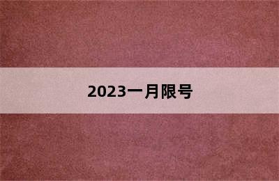 2023一月限号