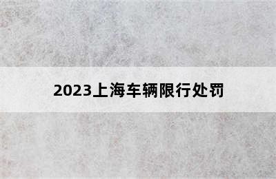 2023上海车辆限行处罚