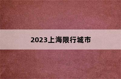 2023上海限行城市