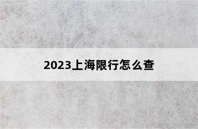 2023上海限行怎么查