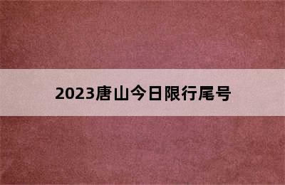 2023唐山今日限行尾号