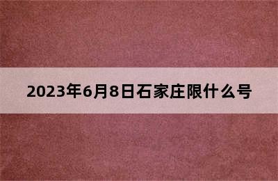 2023年6月8日石家庄限什么号