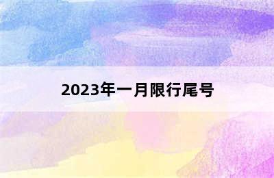 2023年一月限行尾号