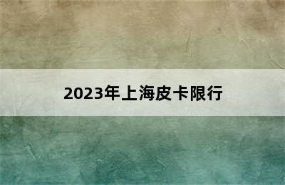 2023年上海皮卡限行