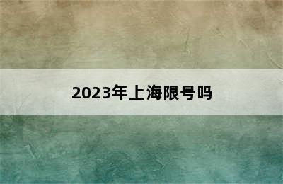 2023年上海限号吗
