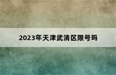 2023年天津武清区限号吗