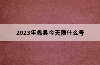 2023年蠡县今天限什么号