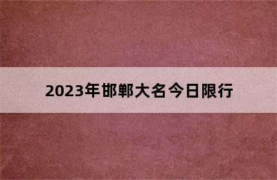 2023年邯郸大名今日限行