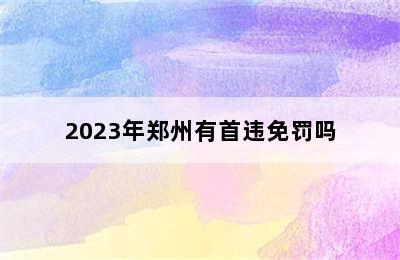 2023年郑州有首违免罚吗