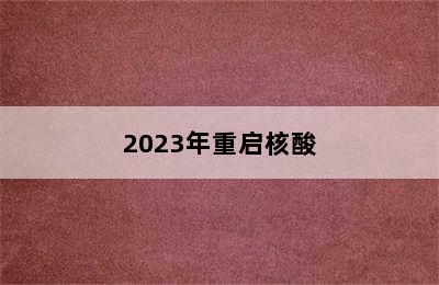 2023年重启核酸