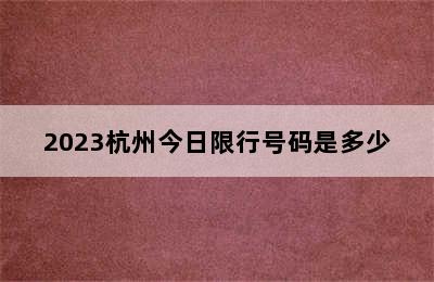 2023杭州今日限行号码是多少