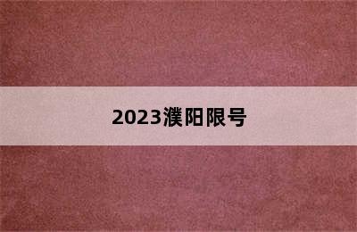 2023濮阳限号