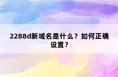 2288d新域名是什么？如何正确设置？