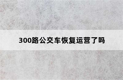 300路公交车恢复运营了吗