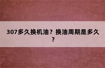 307多久换机油？换油周期是多久？